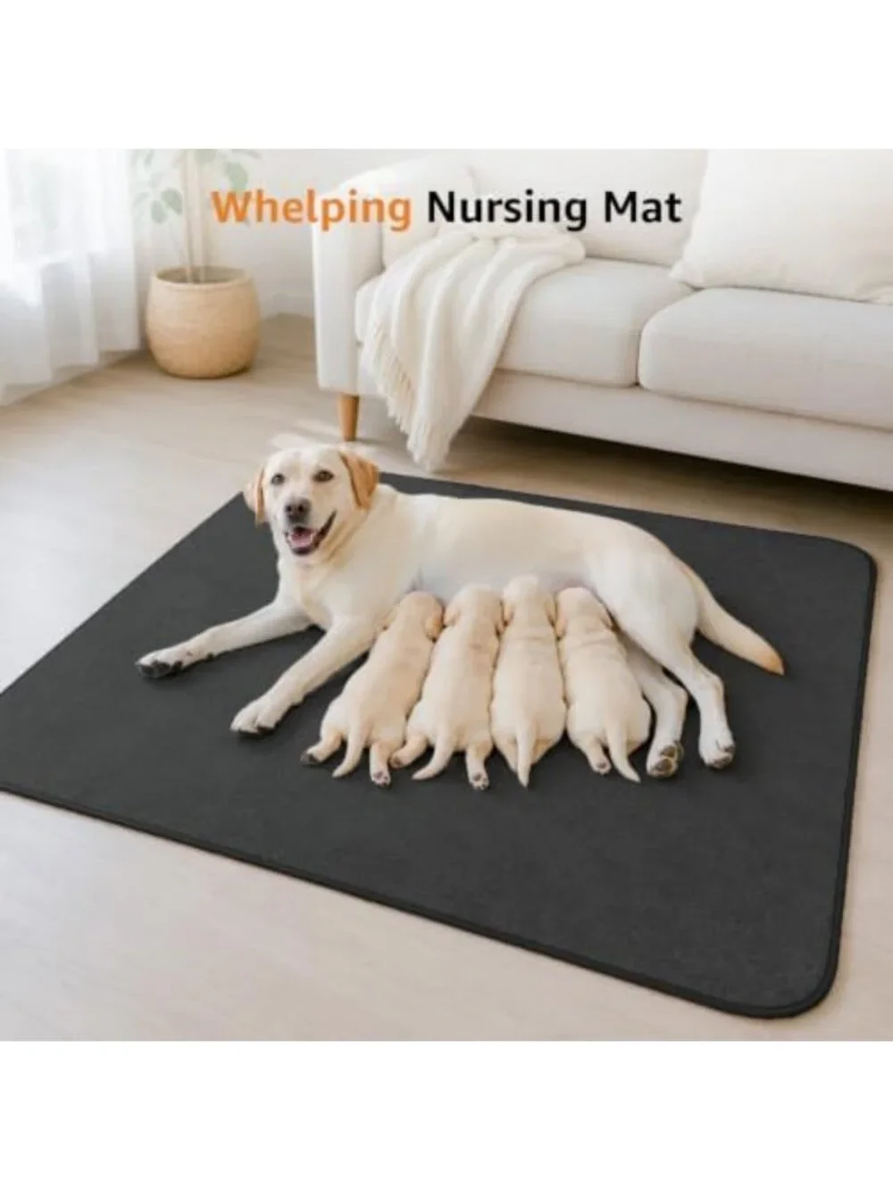 Washable Leak-Proof Dog Pee Pads, 2 Pack, 72